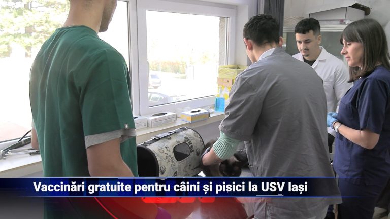Vaccinări gratuite pentru câini și pisici la USV Iași