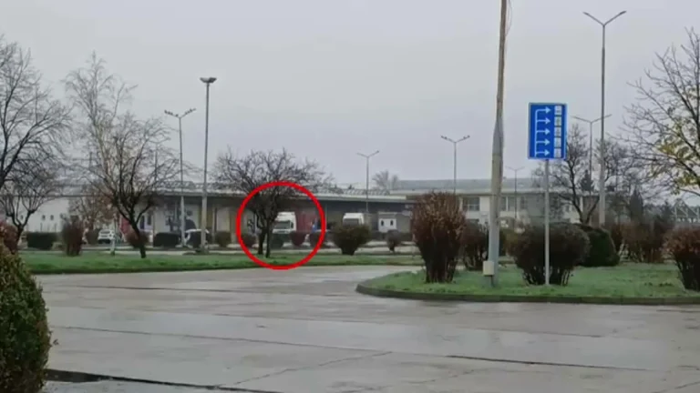 Trafic de arme oprit la frontieră: Două persoane, reținute în dosarul camionului cu muniție