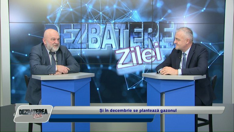 DEZBATEREA ZILEI / Și în decembrie se plantează gazonul
