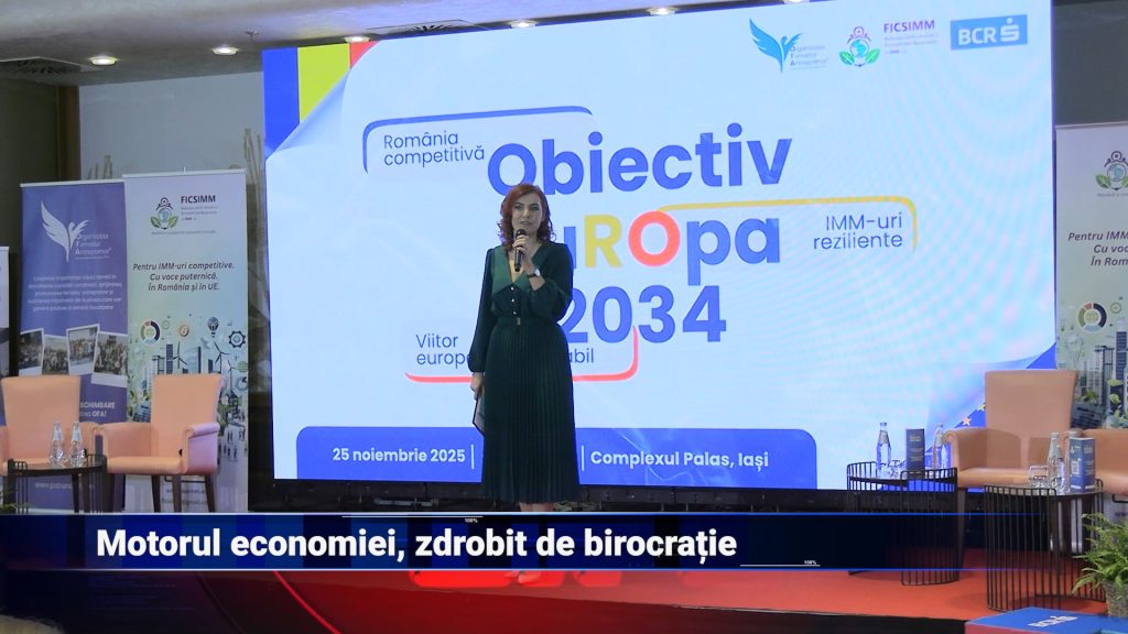 Motorul economiei, zdrobit de birocrație