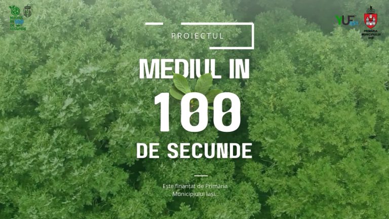 Transport în comun convenabil în Iași