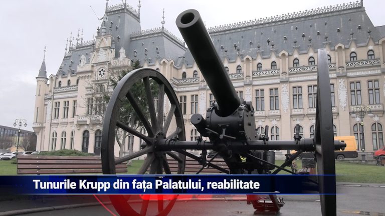 Tunurile Krupp din fața Palatului, reabilitate