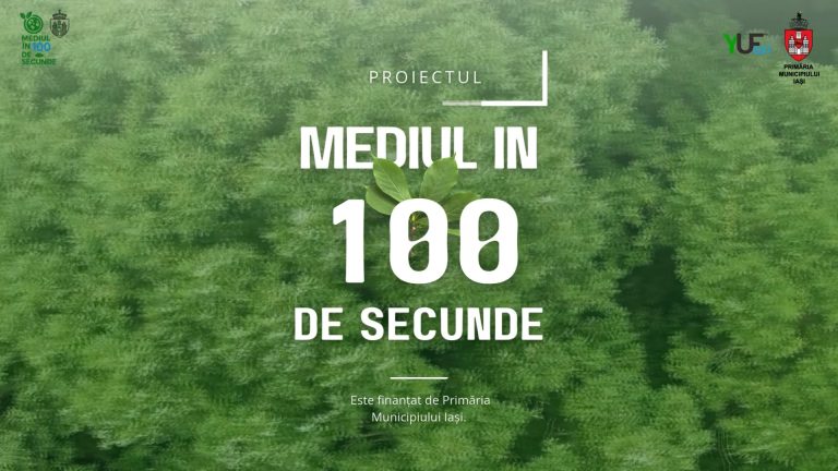 Mai multe tramvaie, mai multe spaţii verzi