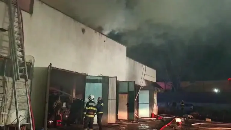Incendiu puternic la Vaslui, pagube mari la o hală industrială