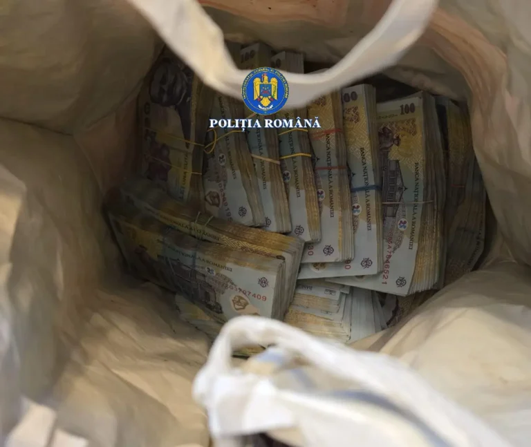 Descinderi la Suceava: Percheziții la suspecții implicați în tăieri ilegale de arbori, sume mari de bani confiscate