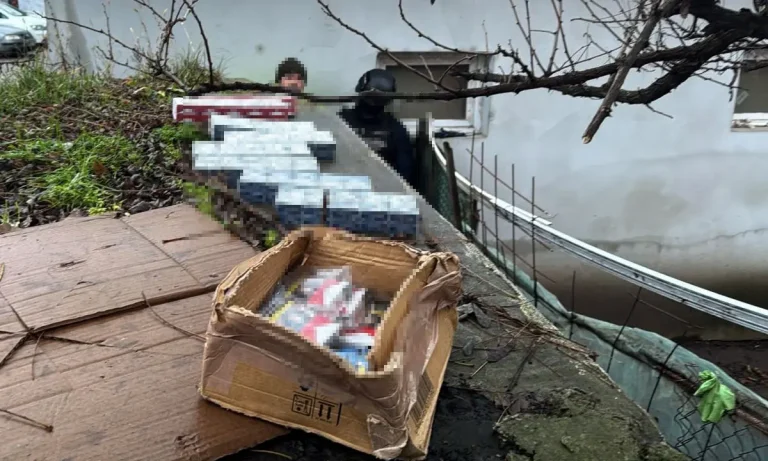 Prejudiciu de 50.000 de Lei: Captură impresionantă de țigarete în județul Botoșani