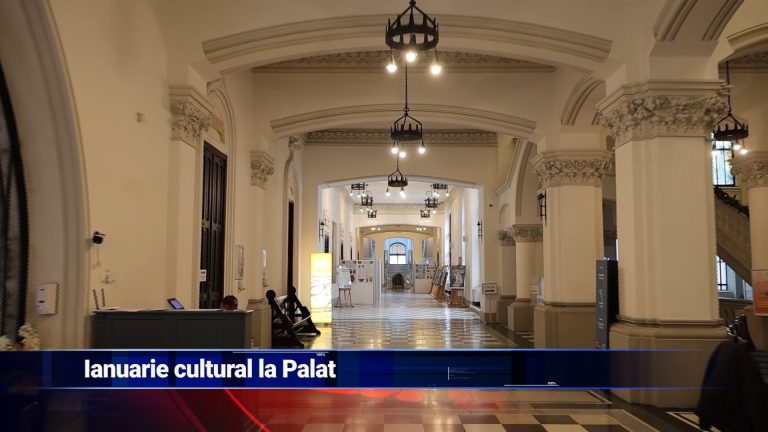 Ianuarie cultural la Palat