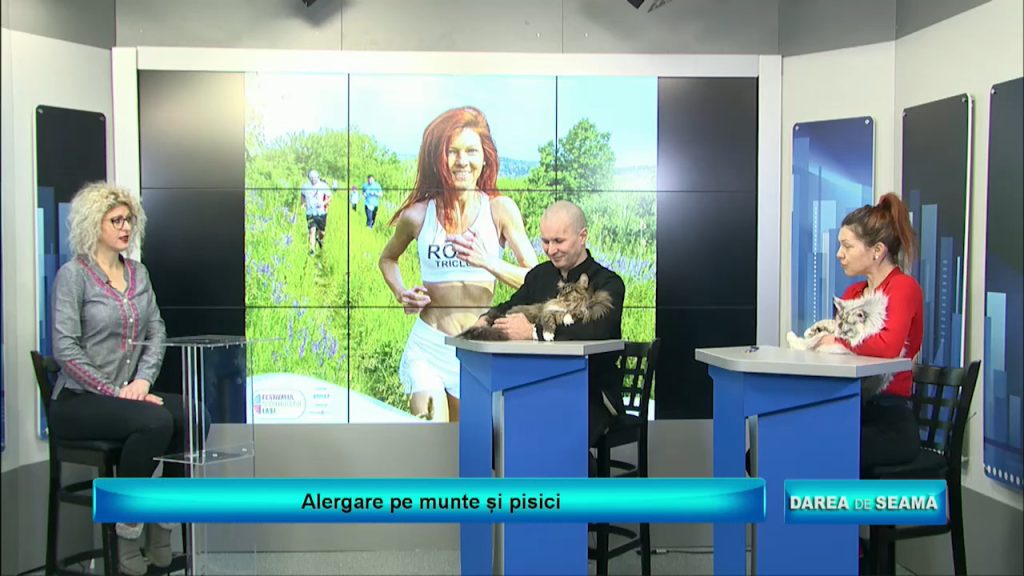 DAREA DE SEAMĂ / Alergare pe munte și pisici