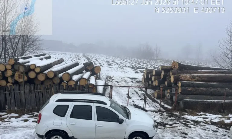 „Depozit” ilegal pe malul râului: Captură record de lemn în Mălini. Poliția a confiscat material lemnos de 80.000 de lei