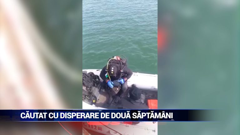 CĂUTAT CU DISPERARE DE DOUĂ SĂPTĂMÂNI