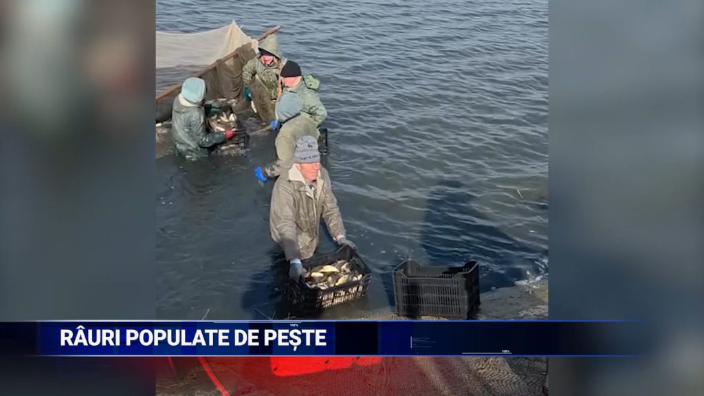 Râuri populate cu peşte