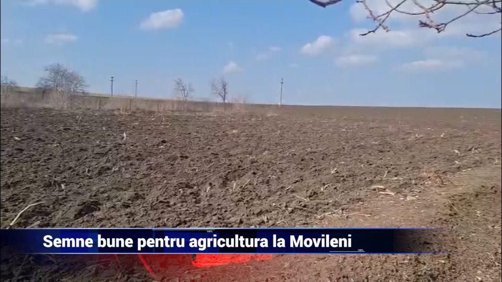 Semne bune pentru agricultură la Movileni