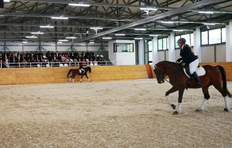 Standarde europene în echitația ieșeană: USV Iași pregătește viitorii instructori și antrenori de călărie