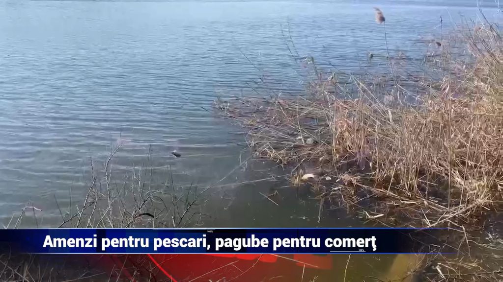 AMENZI PENTRU PESCARI, PAGUBE PENTRU COMERȚ