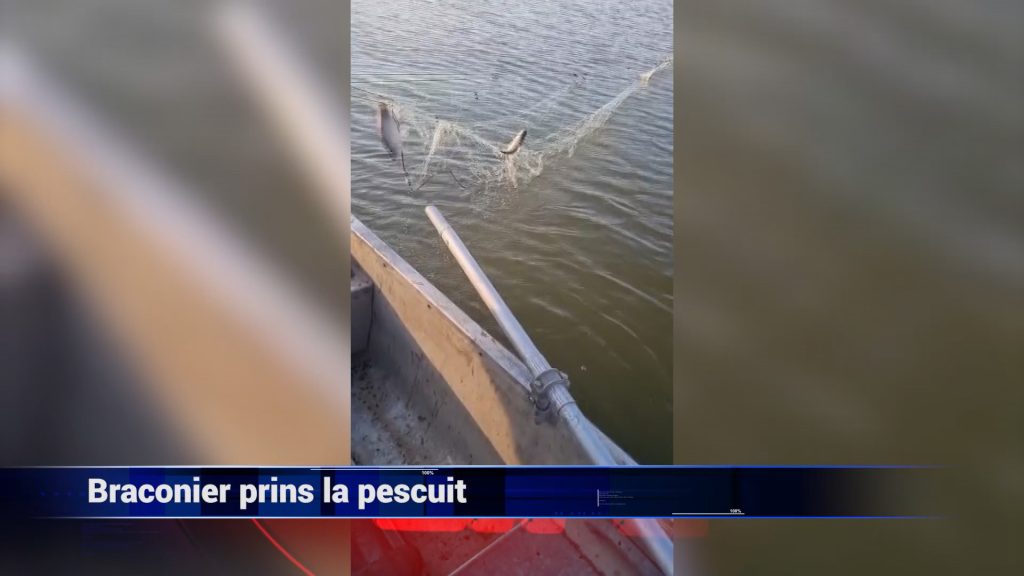 Braconier prins la pescuit
