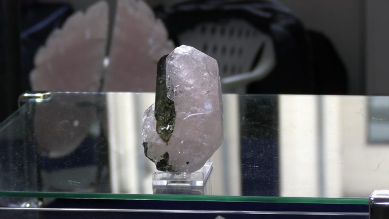 Comorile Pământului, expuse la Palat