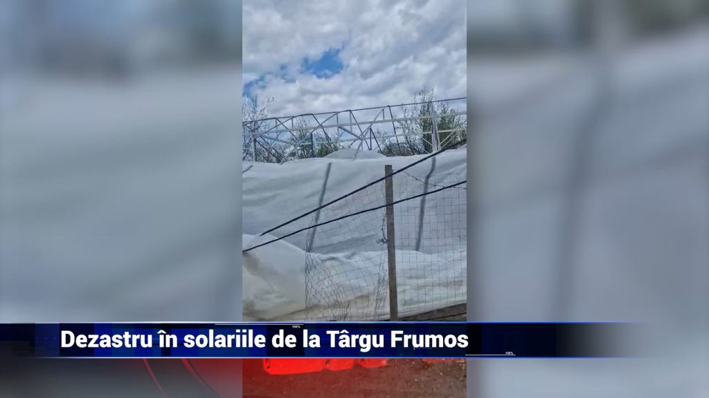 DEZASTRU ÎN SOLARIILE DE LA TÂRGU FRUMOS