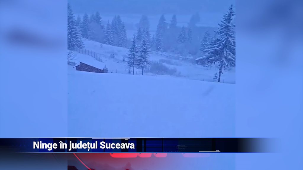 Ninge în judeţul Suceava