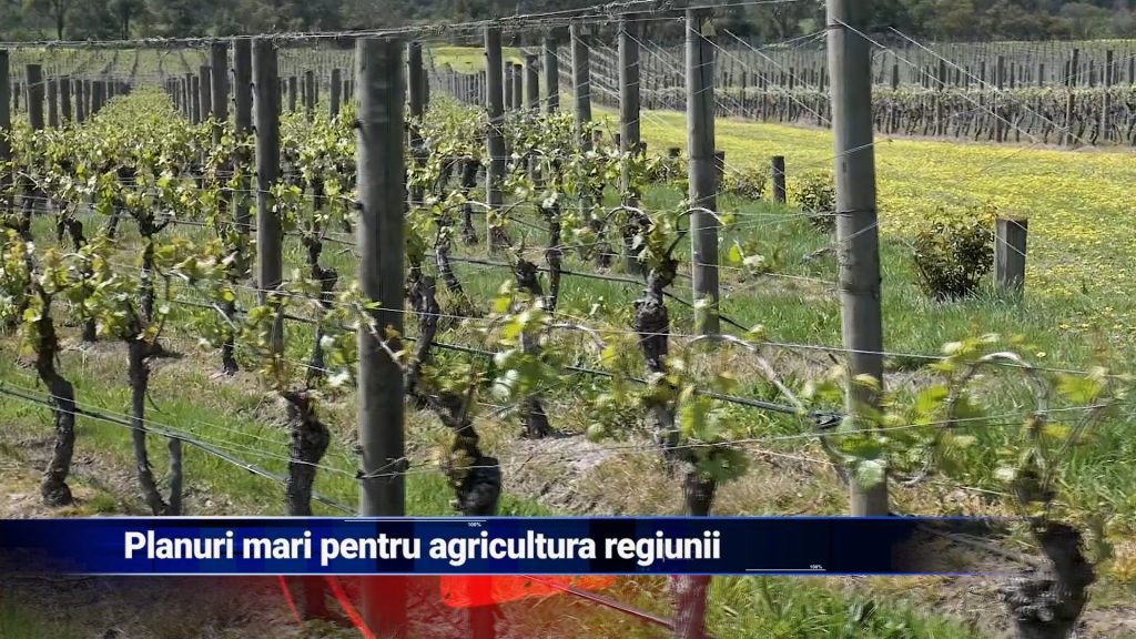 Planuri mari pentru agricultura regiunii