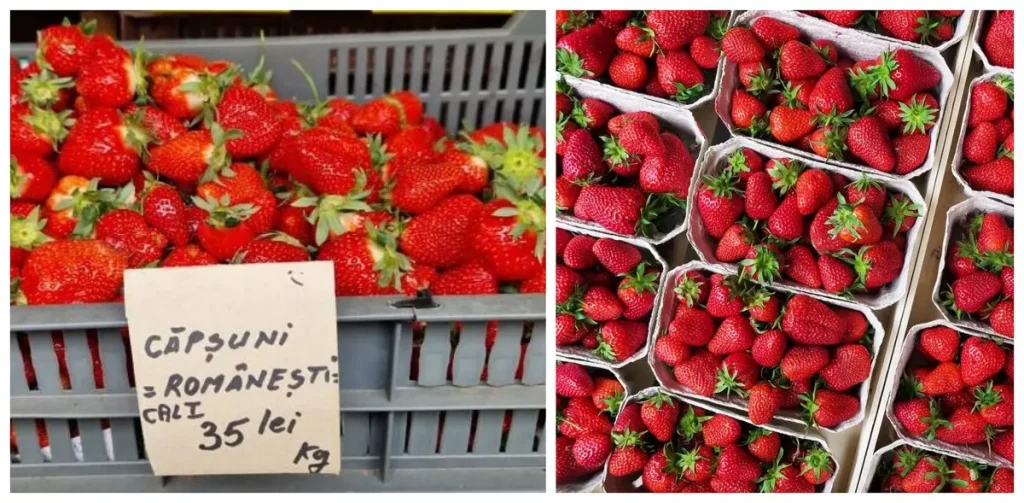 Căpșuni de România versus Grecia: Cât scoatem din buzunar în piețele din Iași la început de sezon
