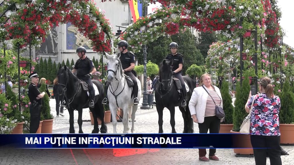 Mai puţine infracţiuni stradale
