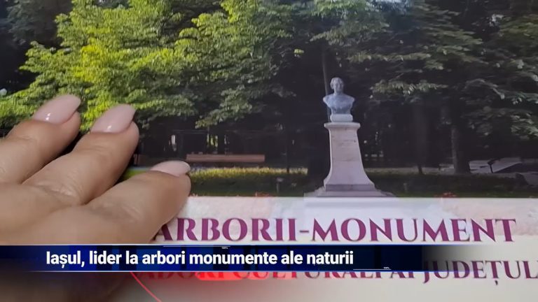 Iaşul, lider la arbori monumente ale naturii