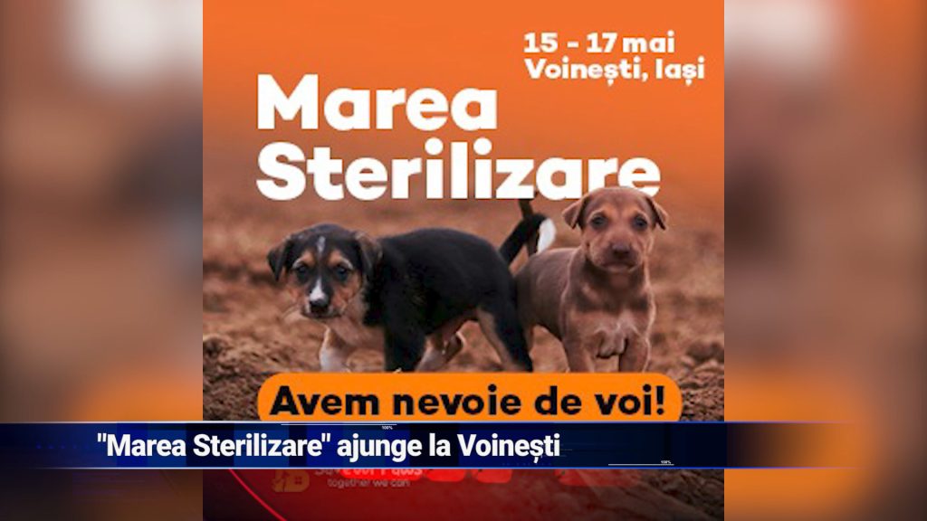 „Marea Sterilizare” ajunge la Voineşti