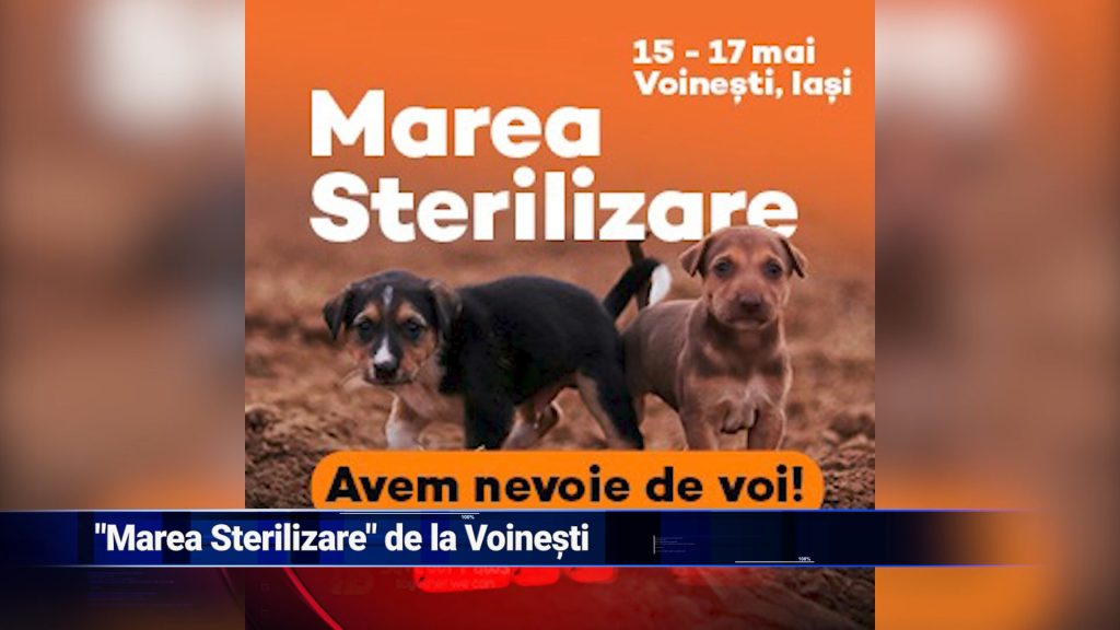 ”Marea Sterilizare” de la Voineşti