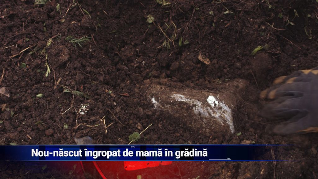 Nou-născut îngropat de mamă în grădină