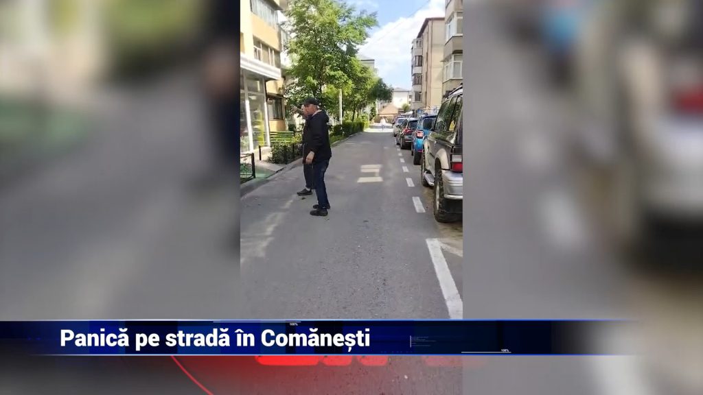 Panică pe stradă în Comăneşti
