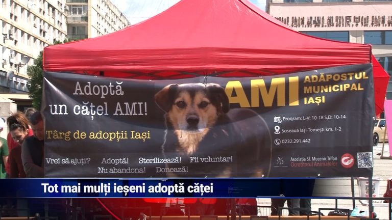 Tot mai mulţi ieşeni adoptă căţei