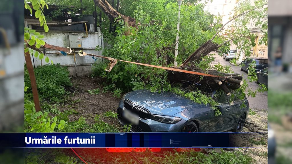 Urmările furtunii