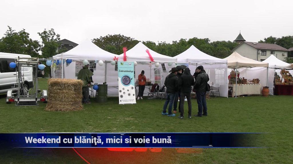 Weekend cu blăniţă, mici şi voie bună