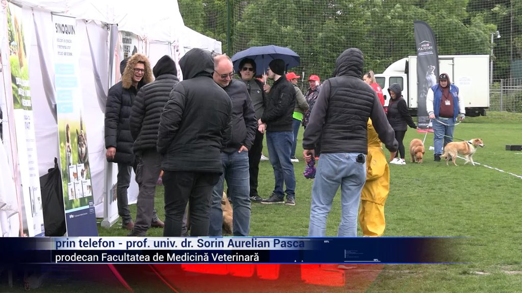 Weekend cu blăniţă, mici şi voie bună