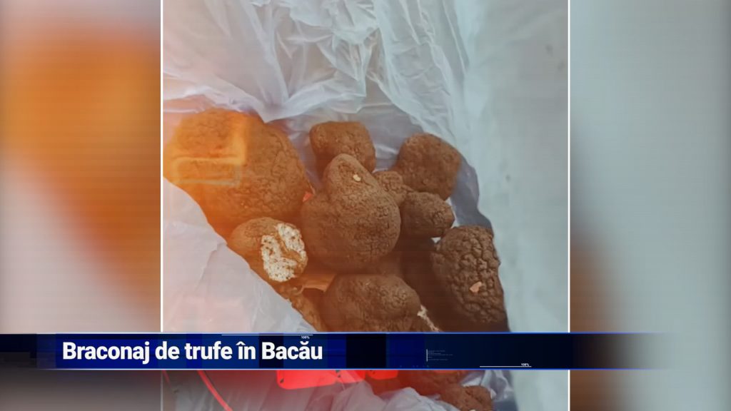 BRACONAJ DE TRUFE ÎN BACĂU