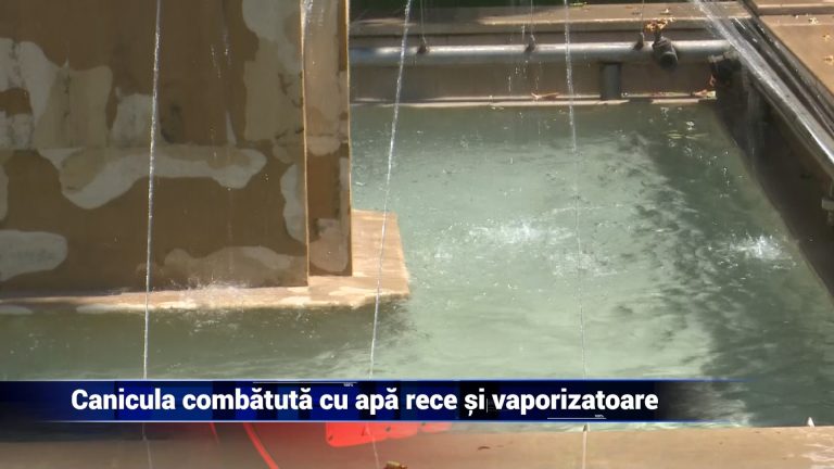 CANICULA COMBĂTUTĂ CU CU APĂ RECE ŞI VAPORIZATOARE