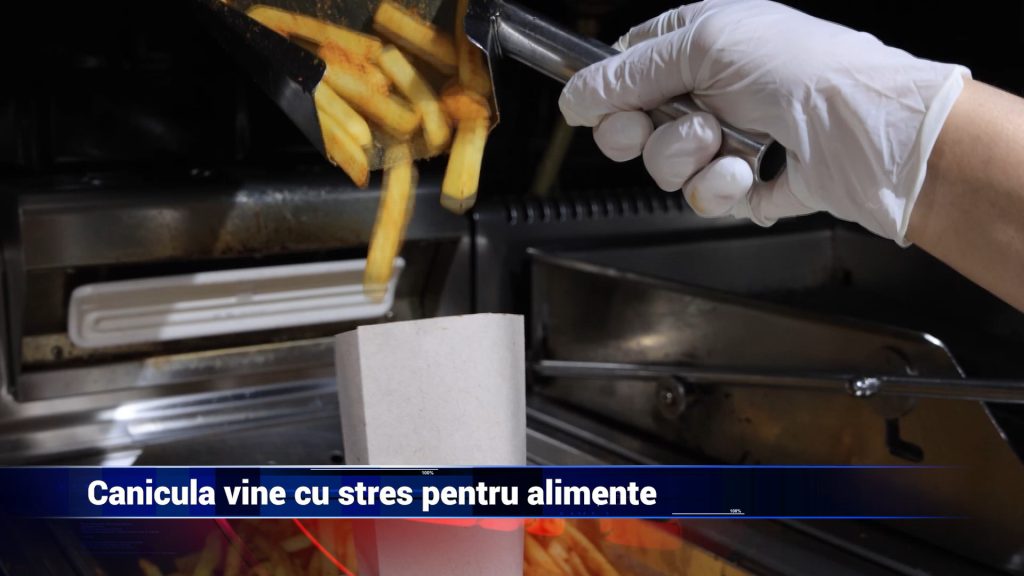 CANICULA VINE CU STRES PENTRU ALIMENTE