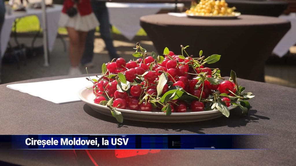 Cireșele Moldovei, la USV