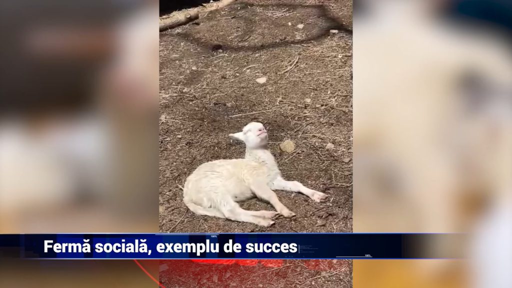 Ferma socială, exemplu de succes