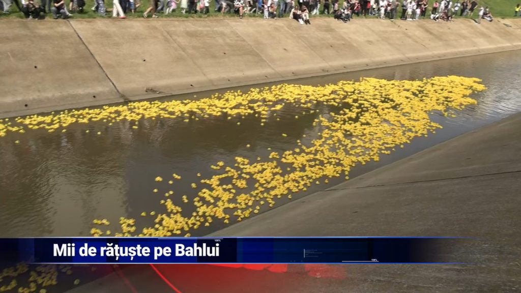 MII DE RĂŢUŞTE PE BAHLUI