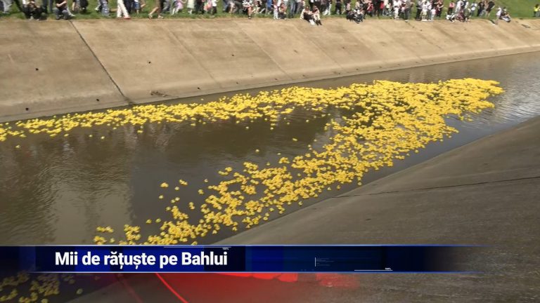MII DE RĂŢUŞTE PE BAHLUI