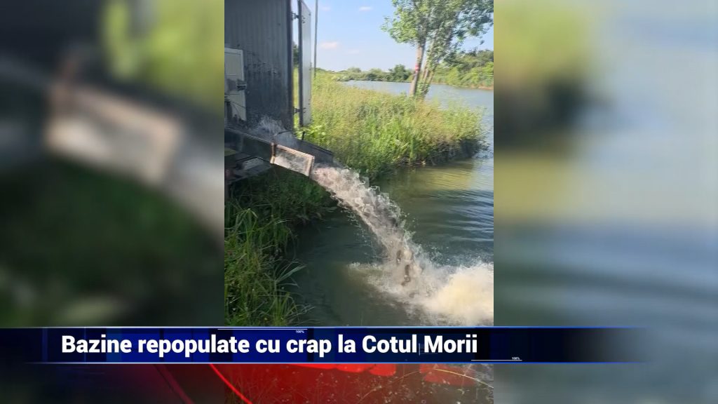 BAZINE REPOPULATE CU CRAP LA COTU MORII