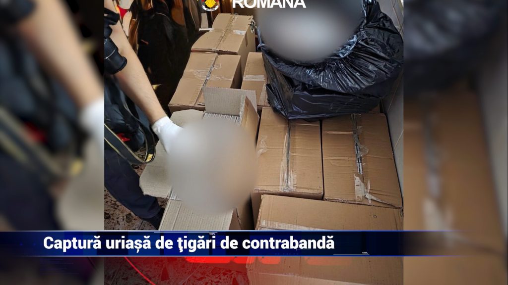 CAPTURĂ URIAȘĂ DE ȚIGĂRI DE CONTRABANDĂ