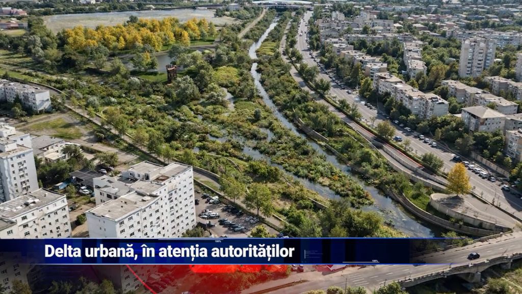 DELTA URBANĂ, ÎN ATENŢIA AUTORITĂŢILOR