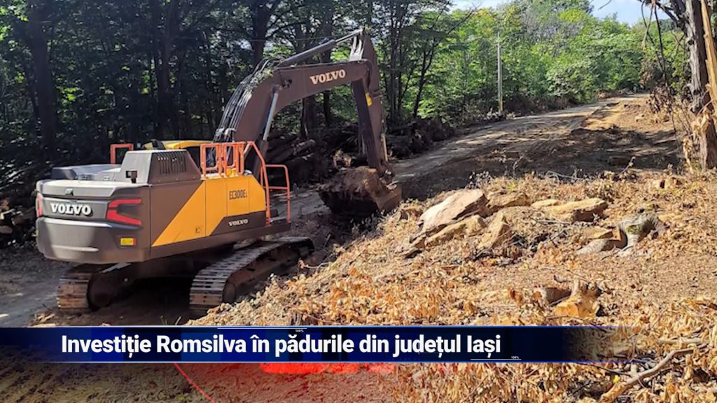 INVESTIȚIE ROMSILVA ÎN PĂDURILE DIN JUDEȚUL IAȘI