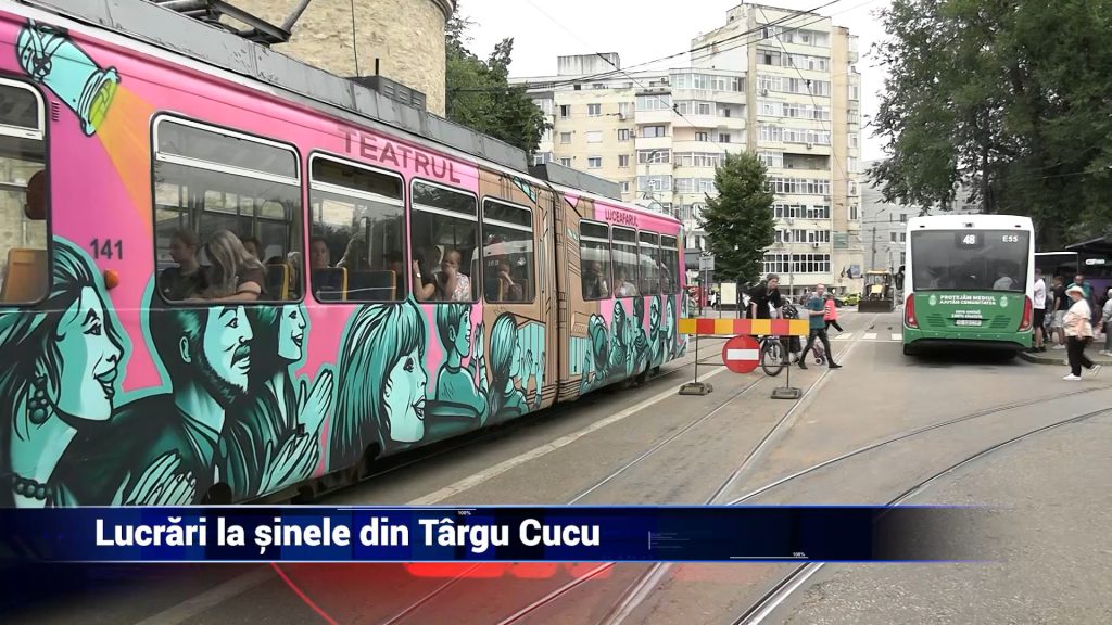 LUCRĂRI LA ȘINELE DIN TÂRGU CUCU