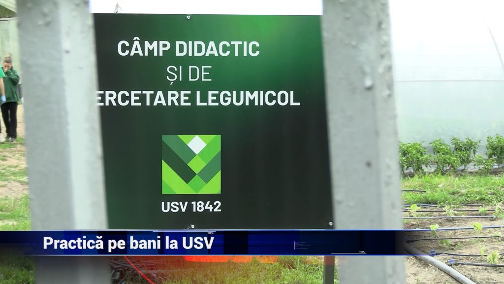 PRACTICĂ PE BANI LA USV