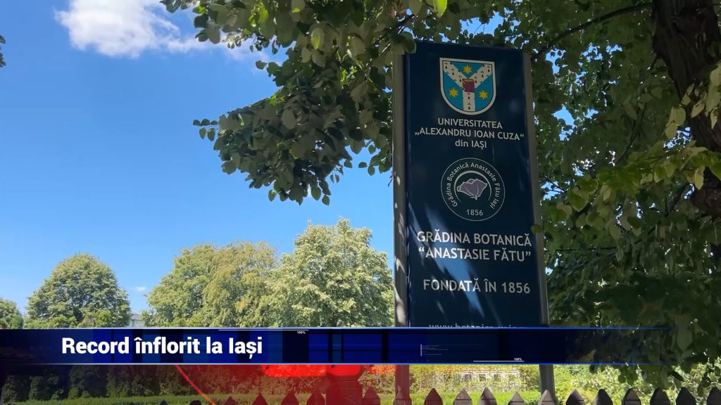 RECORD ÎNFLORIT LA IAȘI