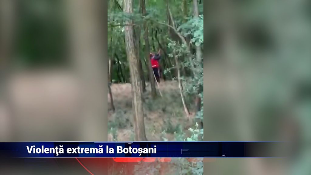 VIOLENŢĂ EXTREMĂ LA BOTOŞANI