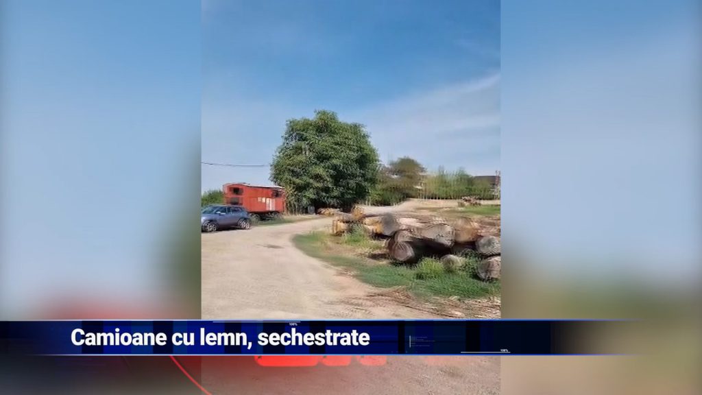 CAMIOANE CU LEMN, SECHESTRATE